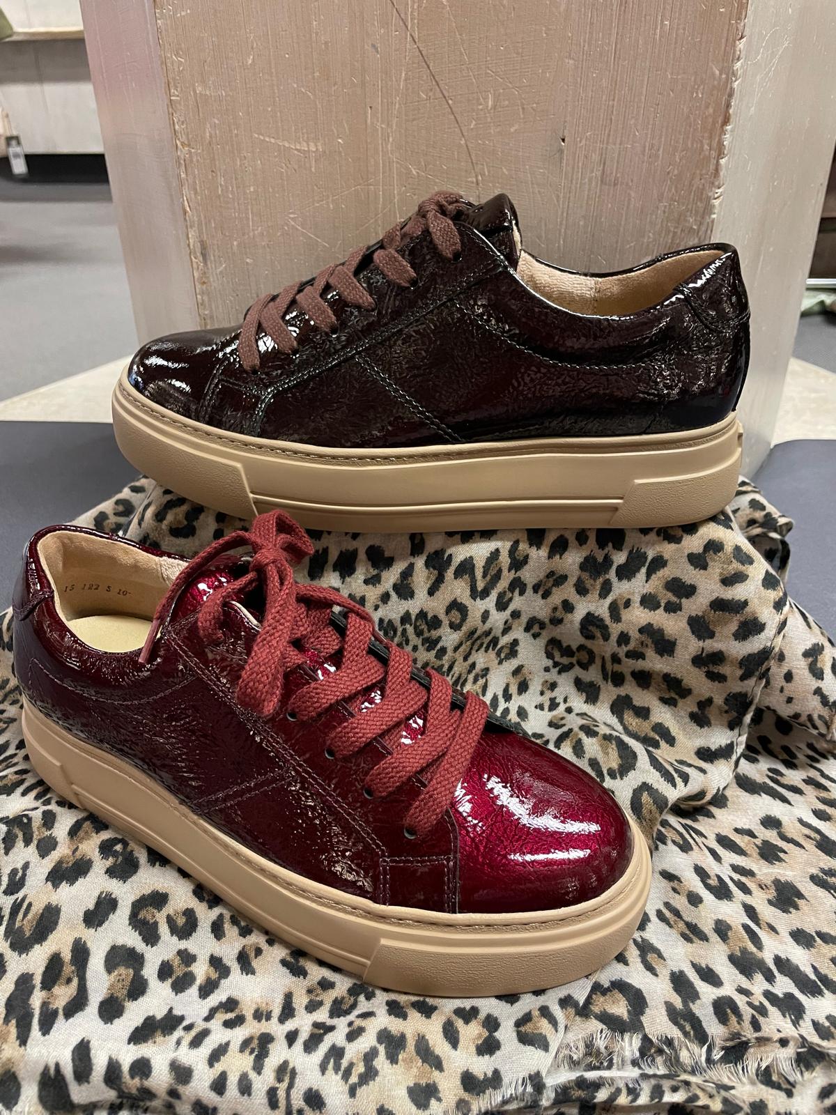 Damenschuhe bei Schuhhaus Öfner in Zirl - Bild 51